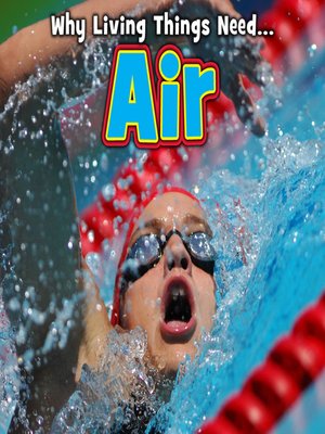 cover image of Air